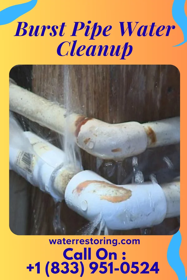 Burst Pipe Water Cleanup in Wamego, KS