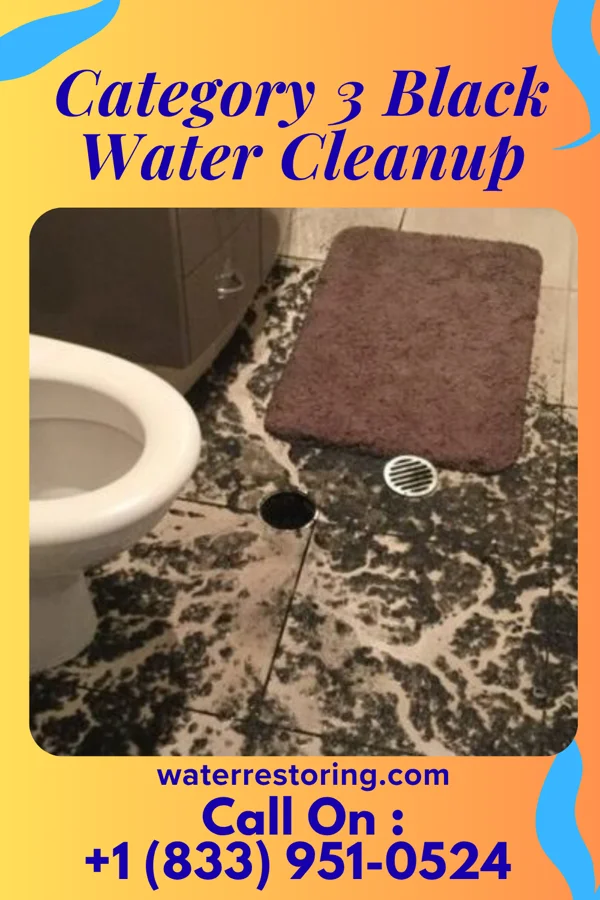 Category 3 Black Water Cleanup in Wamego, KS