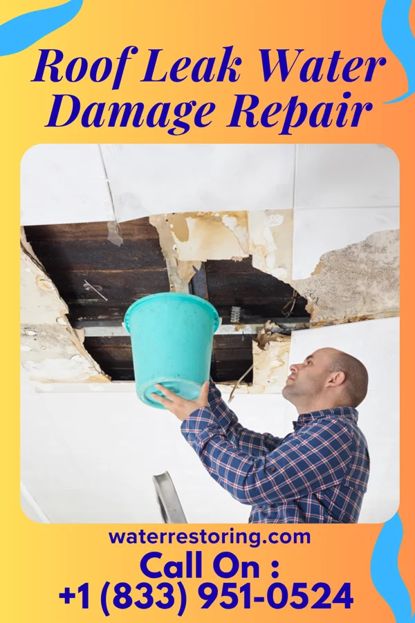 Roof Leak Water Damage Repair in Wamego, KS