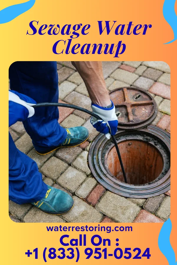 Sewage Water Cleanup in Wamego, KS